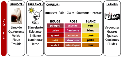Couleur des cépages