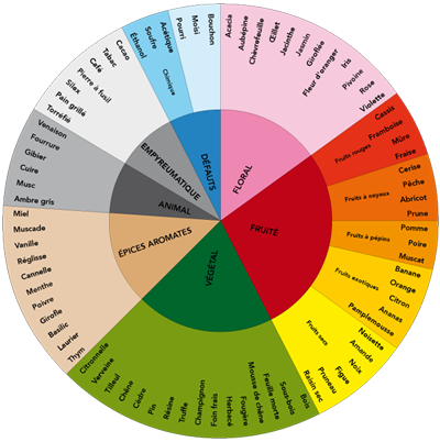 Roue des arômes